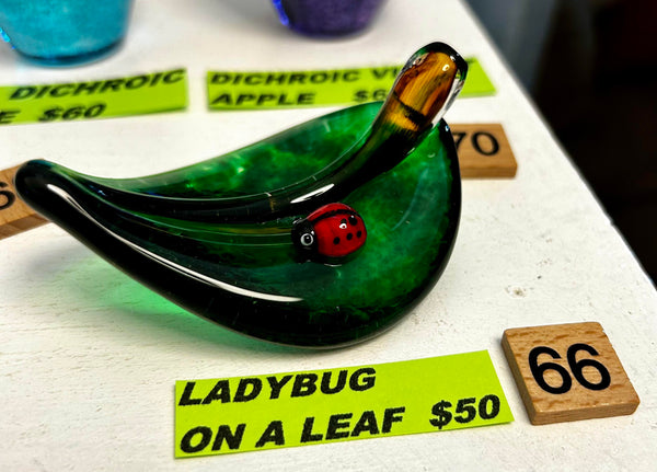 #66 Ladybug on a Leaf -  04/03/2024