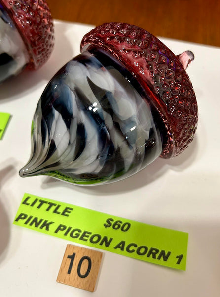 #10 Little Pink Pigeon Acorn 1- 04/17/2024