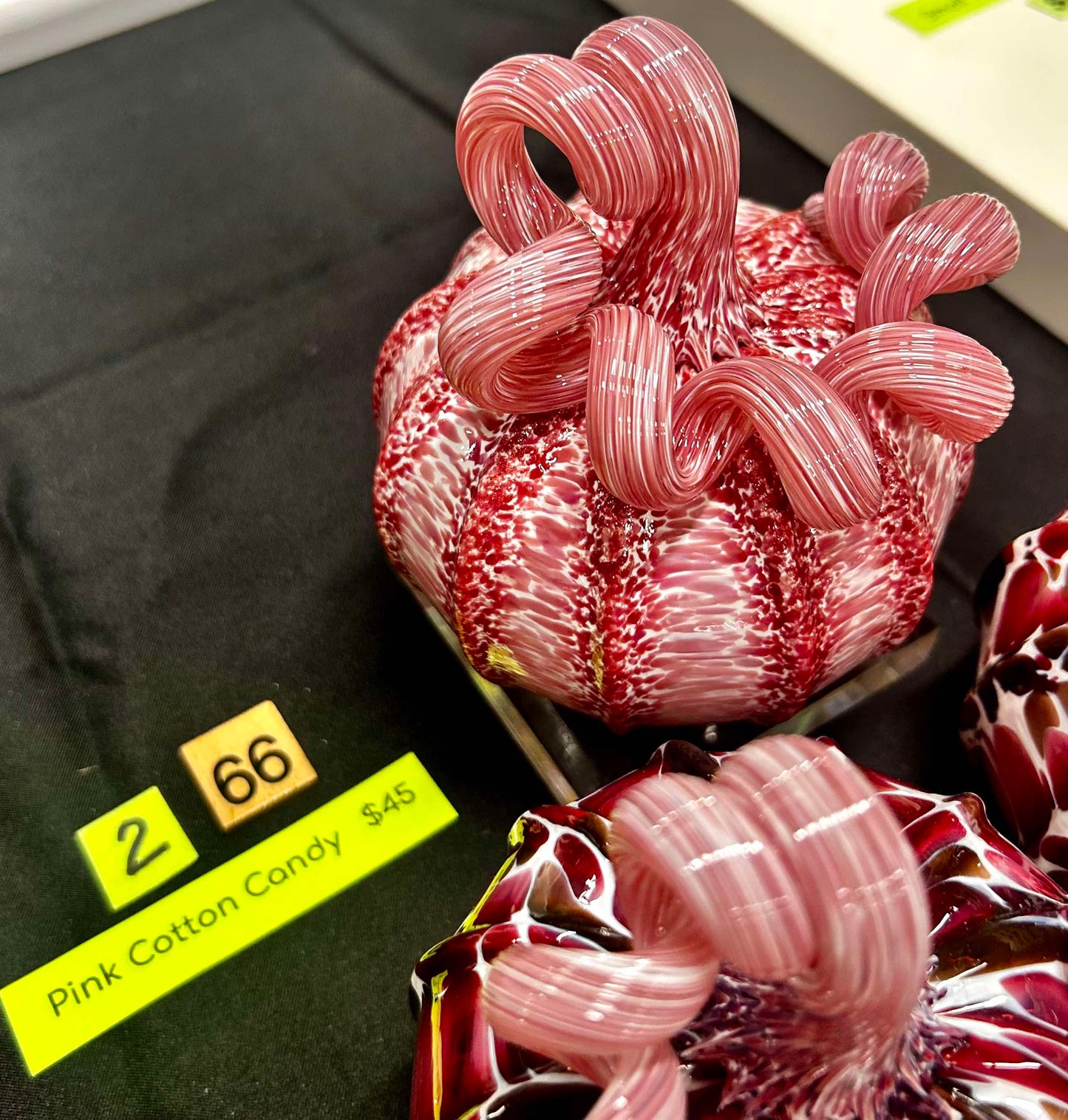 #66 Pink Cotton Candy- 1/22/25