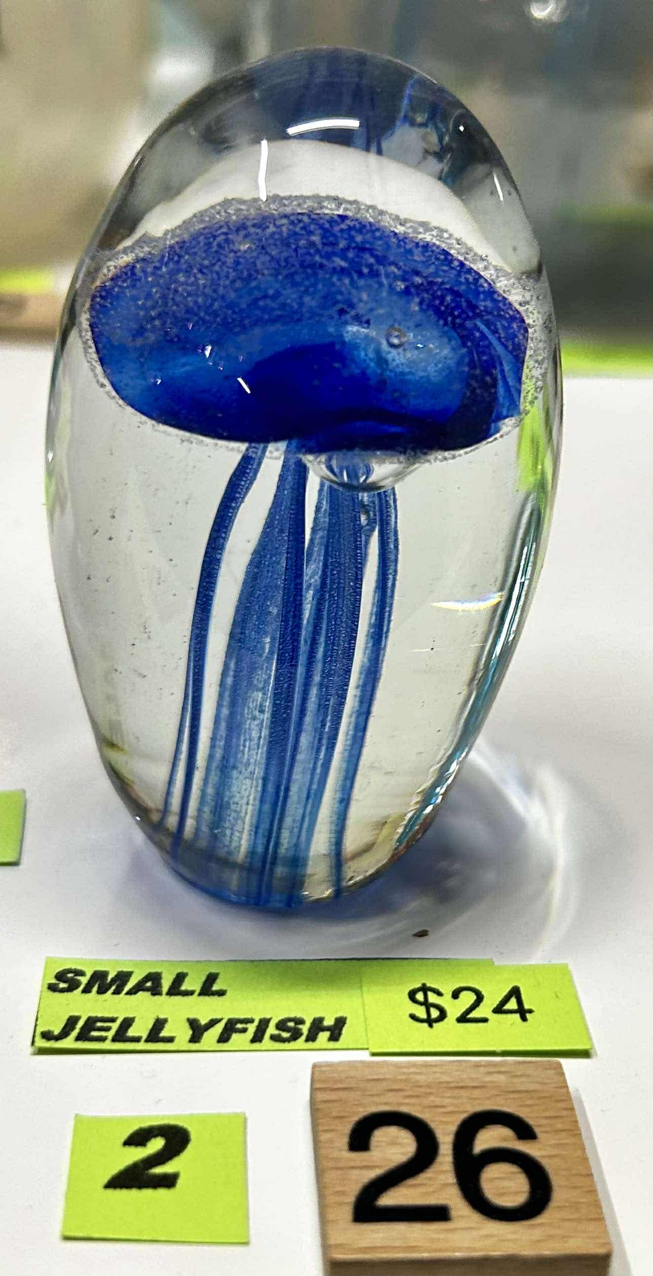 #26 Small Jellyfish- 3/12/25