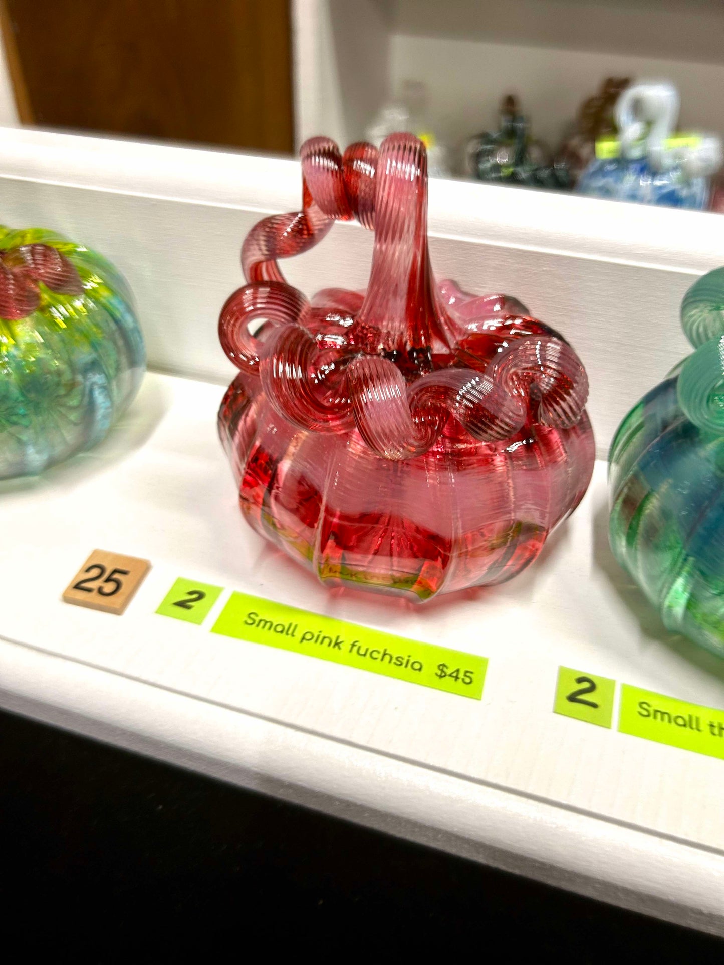 #25 Small Pink Fuchsia - 4/16/2025