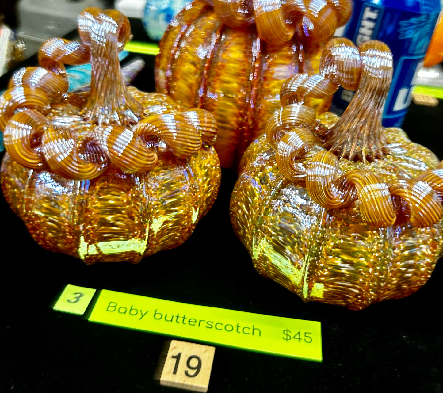 #19 Baby Butterscotch 4/23/2025