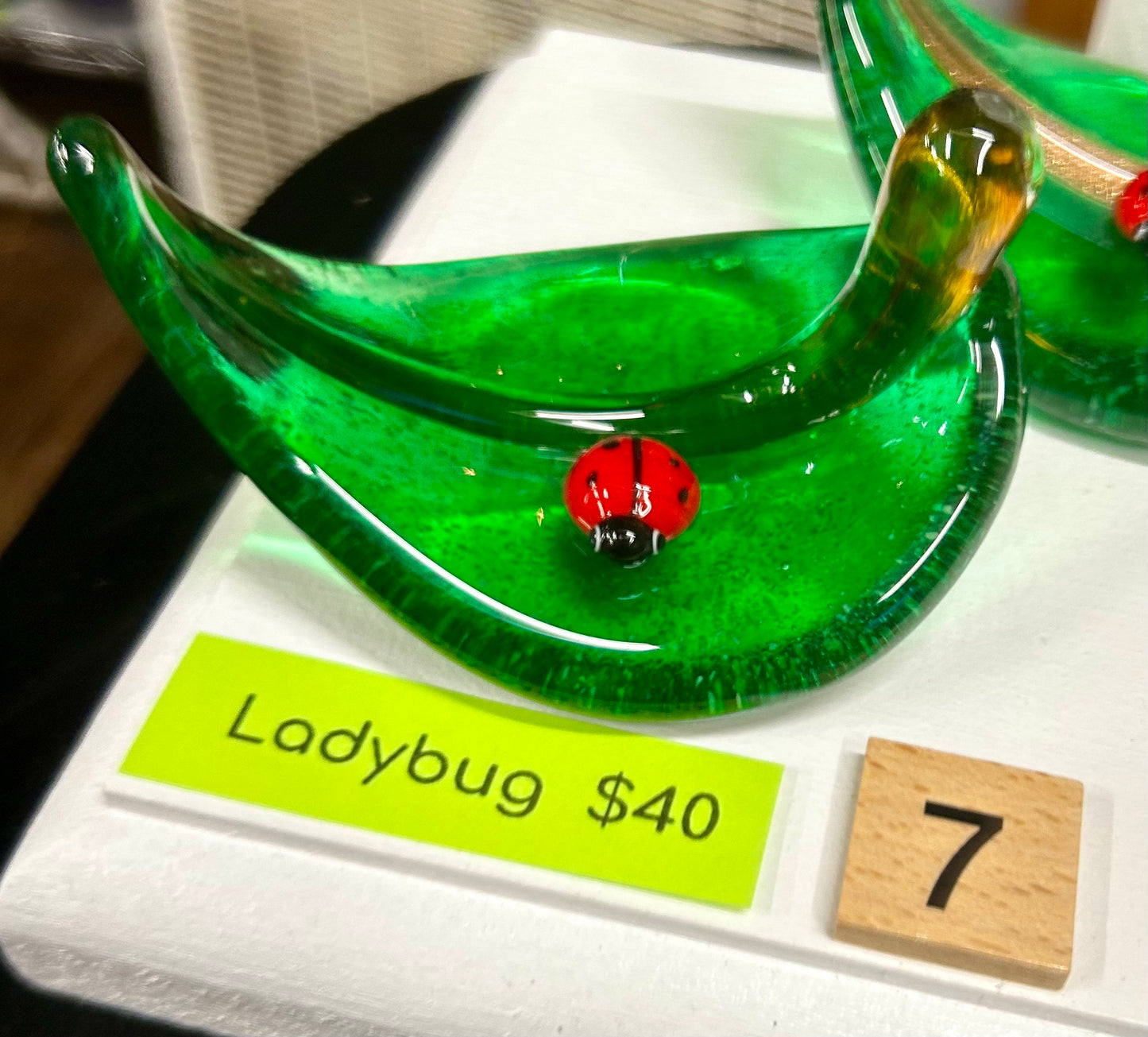 #07 Ladybug on a Leaf- 5/7/2025