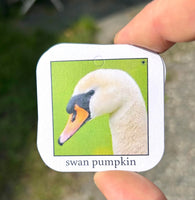 #104 Swan Collector's Tag