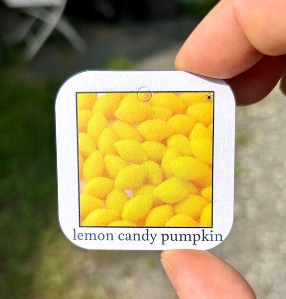 #105 Lemon Candy Collector's Tag