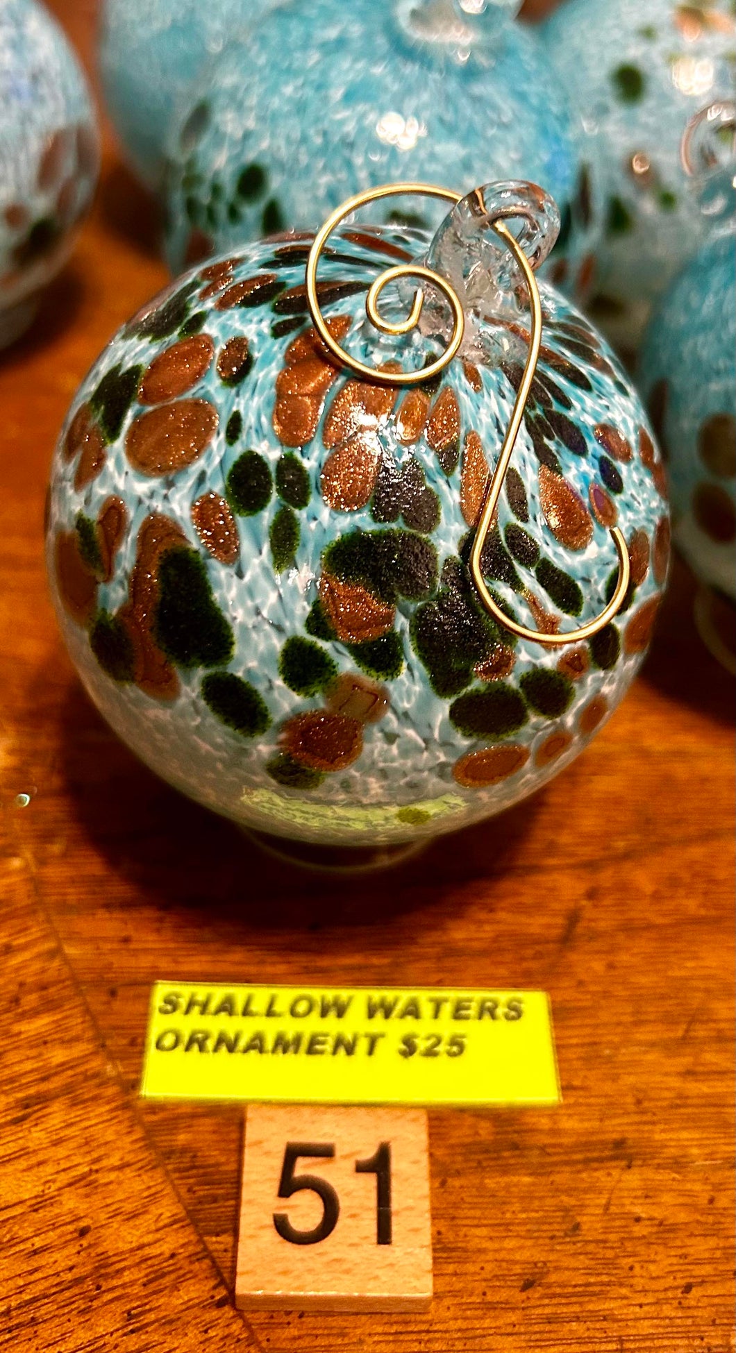 #51 Shallow Waters Ornament - 01/10/24