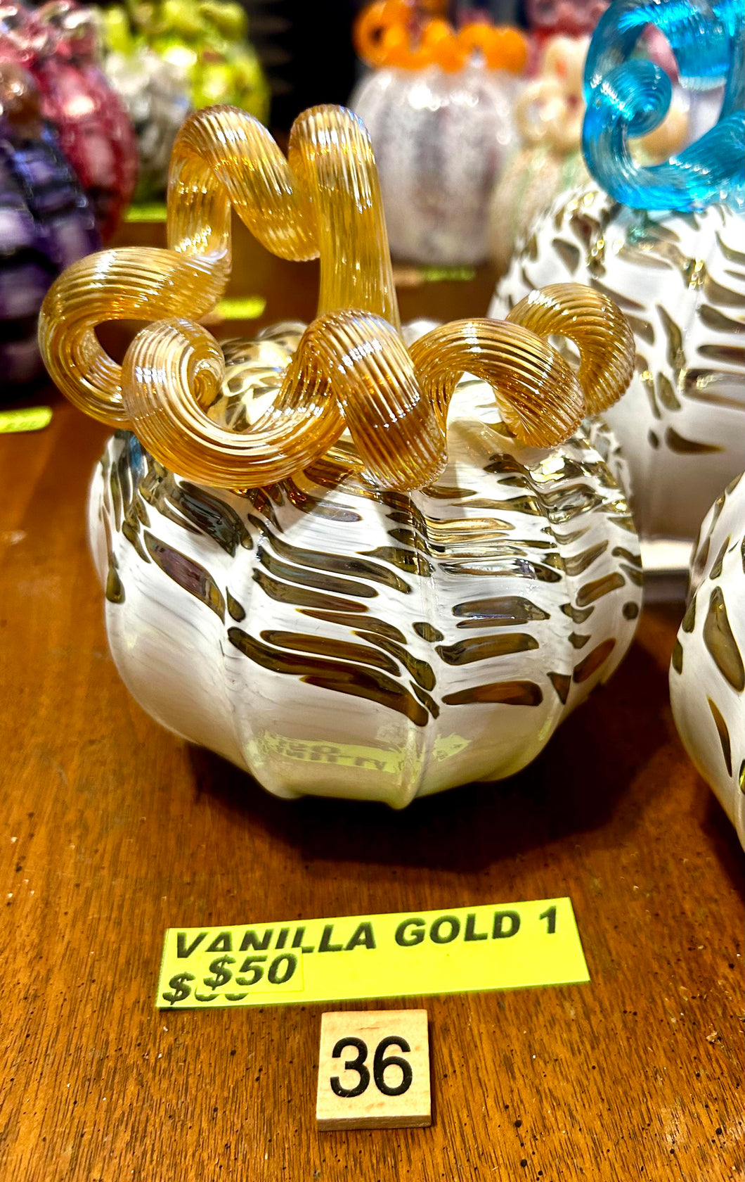 #36 Vanilla Gold 1-  01/17/24