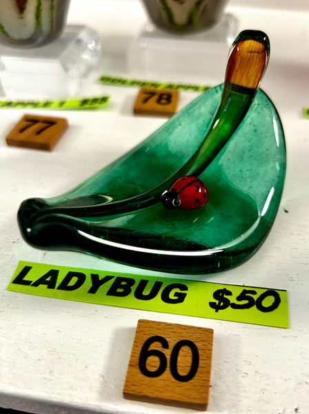 #60 Ladybug On a Leaf- 02/14/2024
