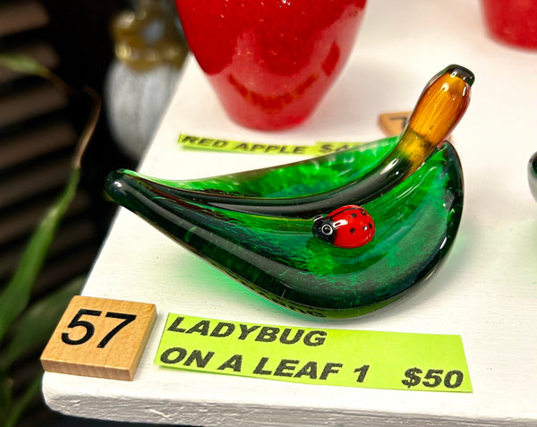 #57 Ladybug On a Leaf 1- 03/27/2024
