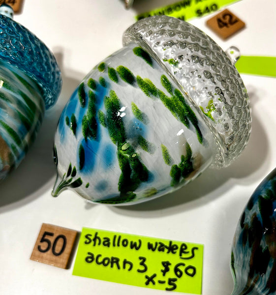 #50 Shallow Waters  Acorn 3- 05/01/2024