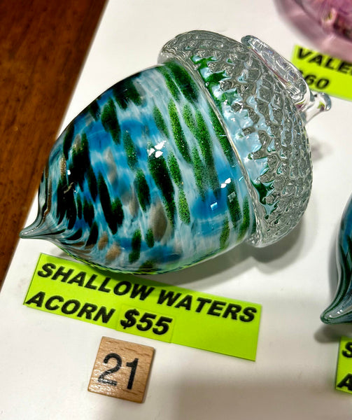 #21 Shallow Waters Acorn- 05/08/2024