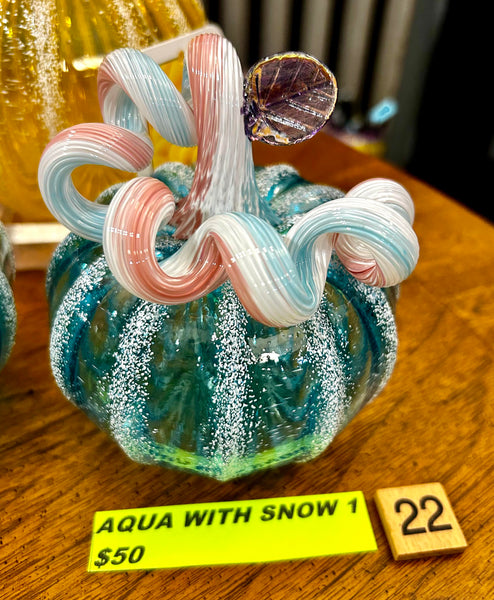 #22 Aqua w/ Snow 1- 04/17/2024