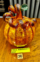 #36 Fall Harvest- 05/01/2024