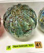 #41 Aqua Goldrush - 2/5/2025