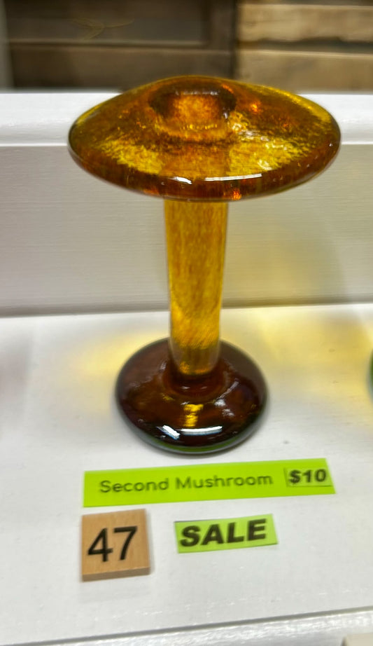 #47 Second Mushroom -   5/7/2025