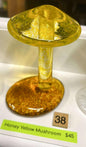 #38 Honey Yellow Mushroom - 3/12/25