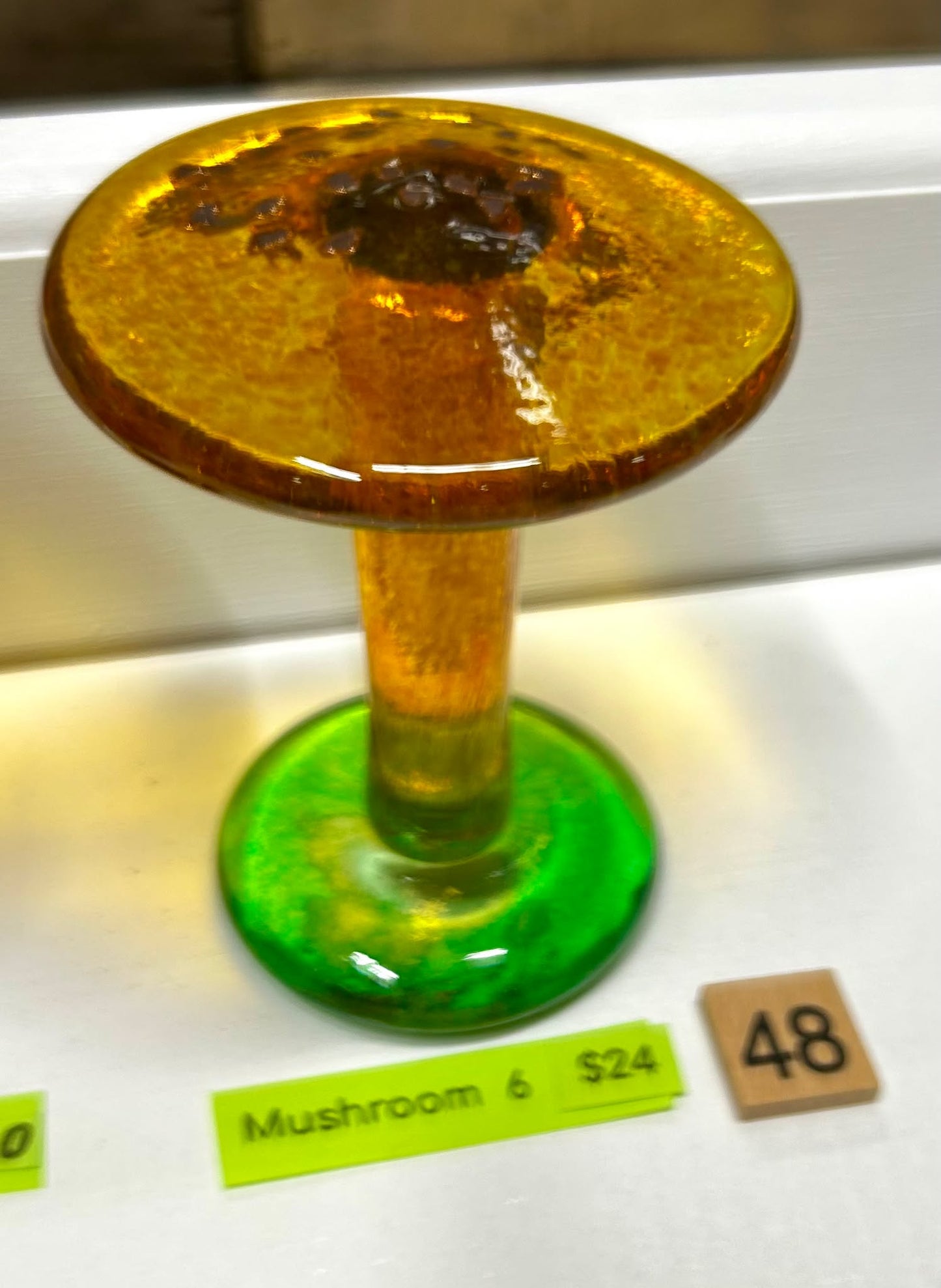 #48  Mushroom  6 -   5/7/2025
