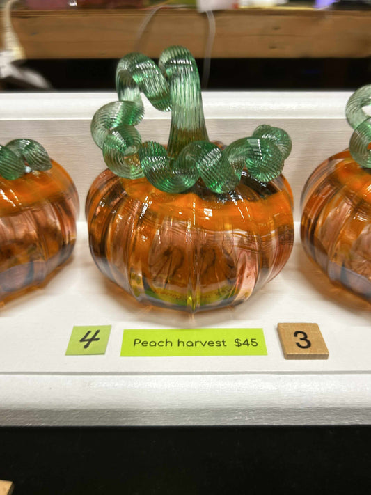 #03 Peach Harvest - 5/28/25