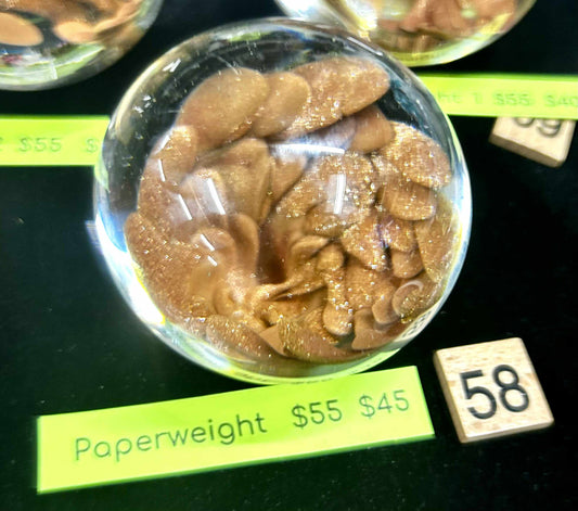 #58 Paperweight  -  6/18/25