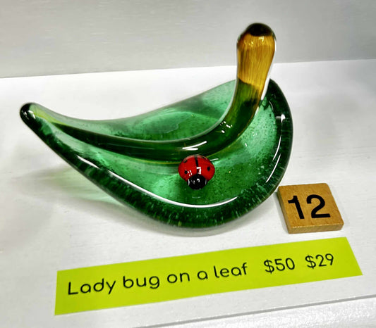 #12 Ladybug On a Leaf- 6/18/25