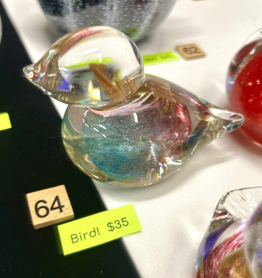 #64 BIRD!-  6/18/25