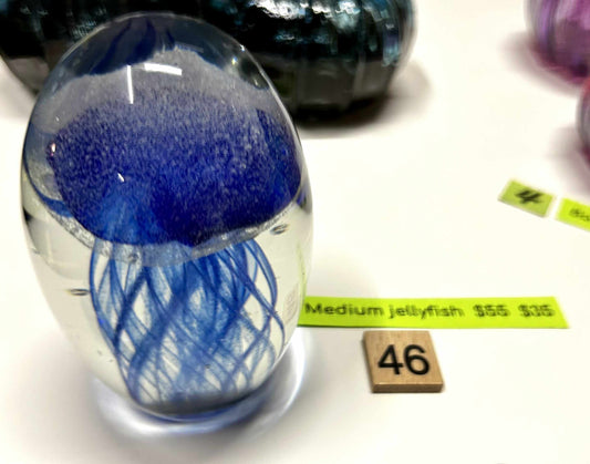 #46 Medium Jellyfish- 7/16/25