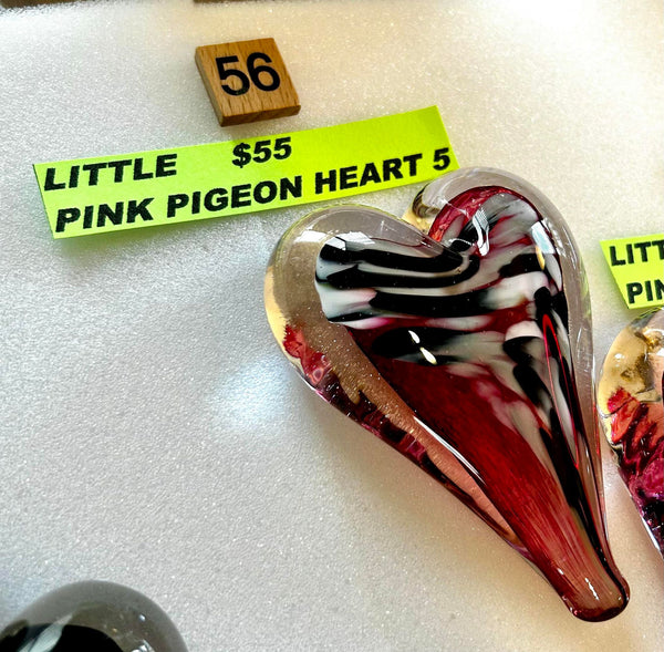 #56   Little Pink Pigeon Heart 5  - 03/20/2024