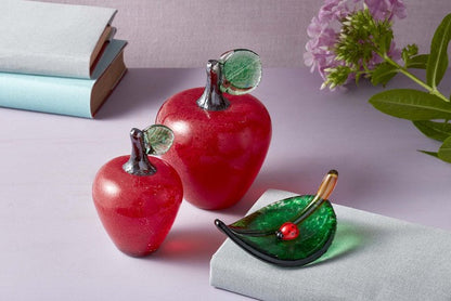 Teacher's Apple and A LadyBug On A Leaf