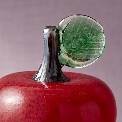 Teacher's Apple and A LadyBug On A Leaf