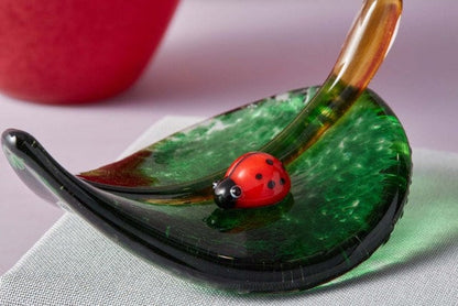 Teacher's Apple and A LadyBug On A Leaf