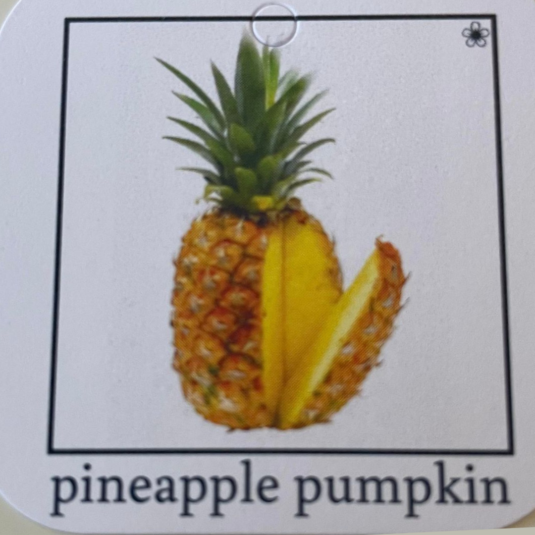 #90 Pineapple Pumpkin Collector's Tag