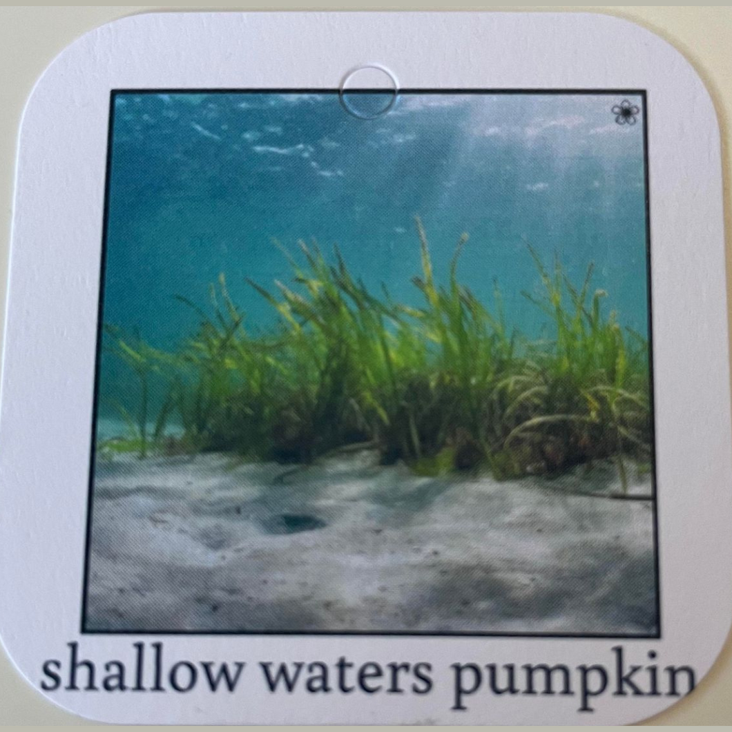 #98 Shallow Waters Glass Pumpkin Collector's Tag