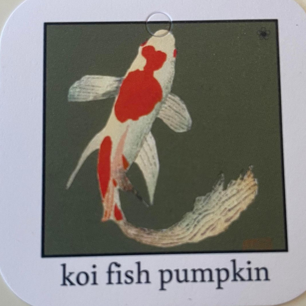#93 Koi Fish Pumpkin Collector's Tag